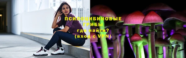 прущая мука Богородицк