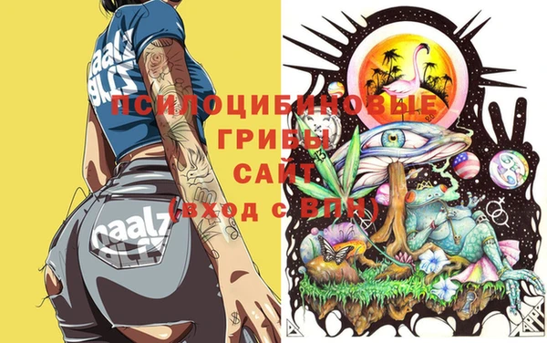 прущая мука Богородицк
